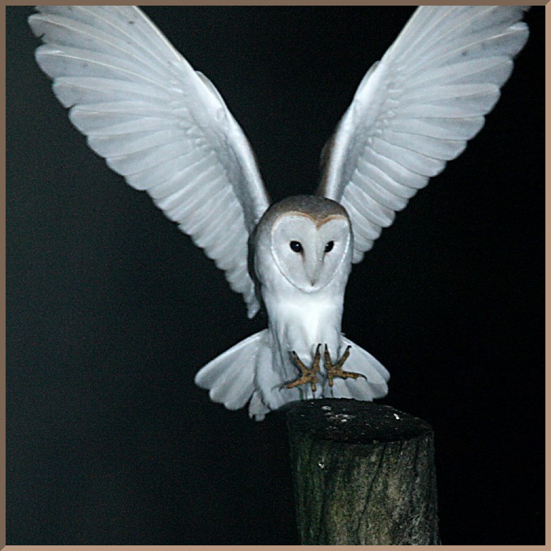 Image Of The Day By Subject